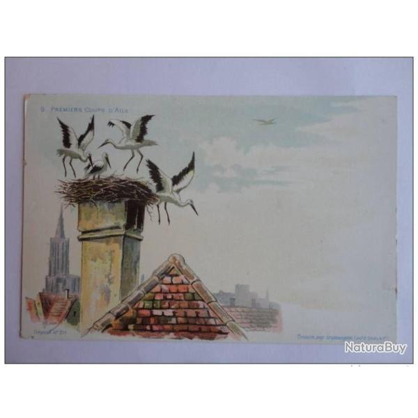 CPA illustr�e HAAS Lithographie de Strasbourg Cigogne