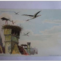 CPA illustr&eacute;e HAAS Lithographie de Strasbourg Cigogne