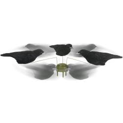 Pack 3 corbeaux HD floqu&eacute;s sp&eacute;cial man&egrave;ge &agrave; corbeaux