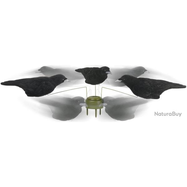 Pack 3 corbeaux HD floqu�s sp�cial man�ge � corbeaux
