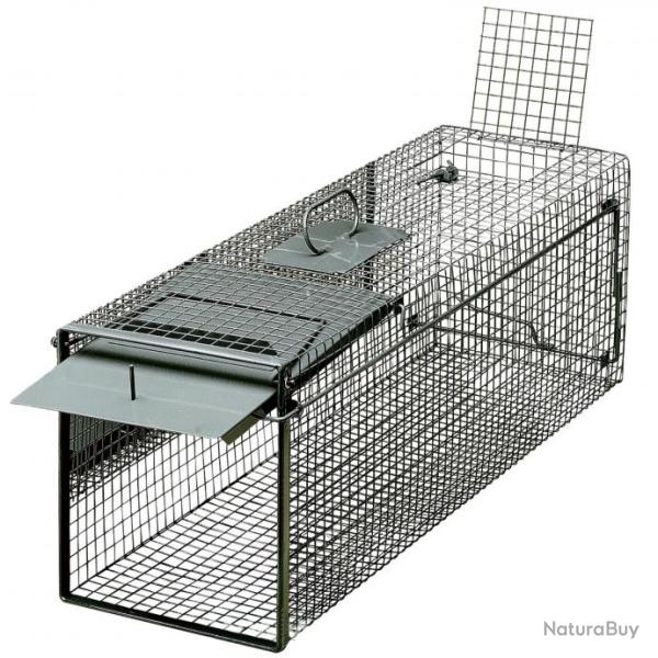 Chatire, 1 entre pour attraper vivant