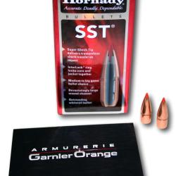 OGIVE HORNADY SST 123GR CAL 7.62X39 310 LOT 100 3142