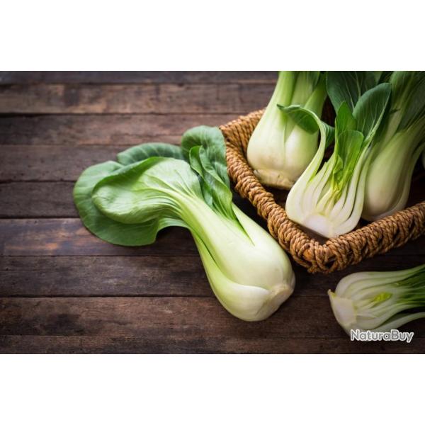 Lot de 200 Graines de Chou Chinois Pak Cho� - Vari�t� Chinoise - Plante r�sistante aux froids