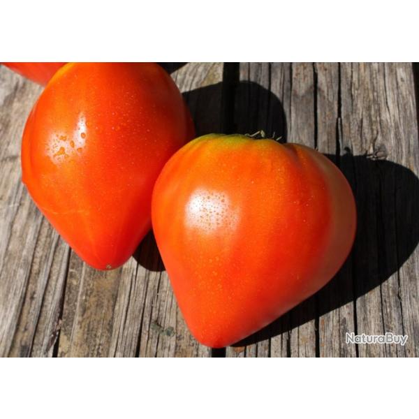 Lot de 100 Graines de Tomate Cuor Di Bue - Vari�t� Italienne Go�teuse et les plus savoureuses