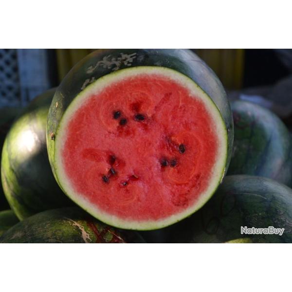 Lot de 25 Graines de Pasteque Sugar Baby - 20 cm de diam�tre de 2 � 3 kg -.Chair rouge , tr�s sucr�e