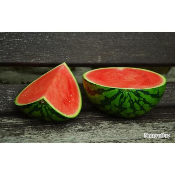 Lot de 25 Graines de Past�que Crimson Sweet - Rafra�chissant et Di�t�tique - Ronds tr�s sucr�e