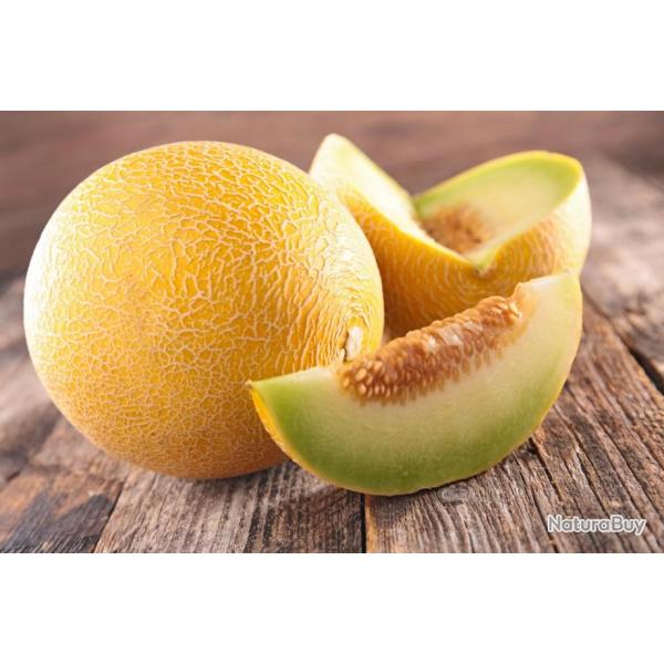 Lot de 50 Graines de Melon Ananas - Vari�t� Sucr�e, Juteuse et Parfum�e - Culture Facile