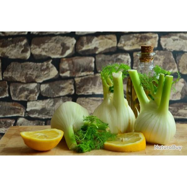 Lot de 250 Graines de Fenouil Doux De Florence - Go�t d�licat et Ferme - Bulbes Arrondis