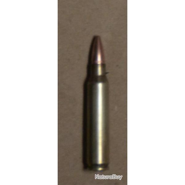 Cartourche Famas Arm�e francaise Neutralis� LM-5.56-2-80
