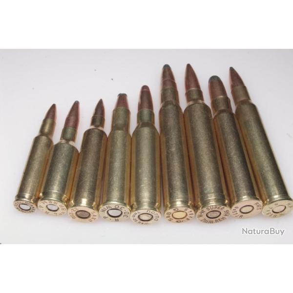 9 cartouches de collection de gros calibres