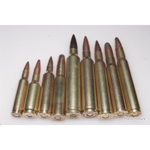 9 cartouches de collection gros calibres diffrents