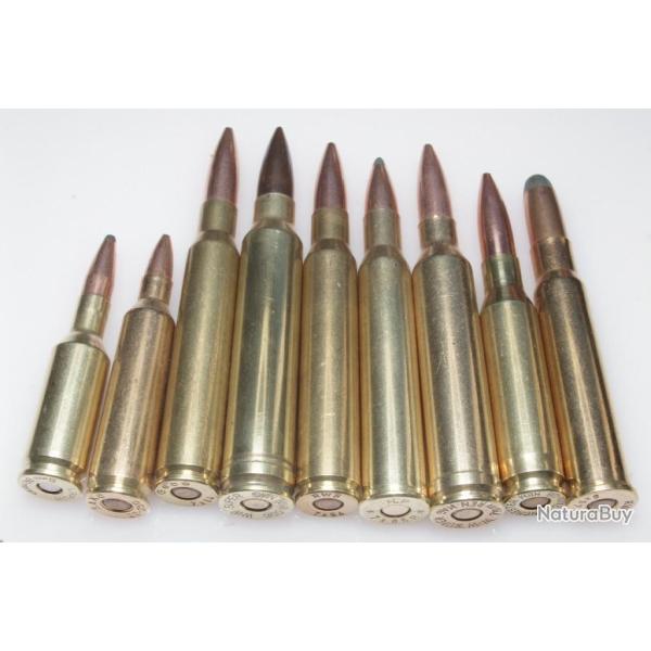 9 cartouches de collection de gros calibres diffrents