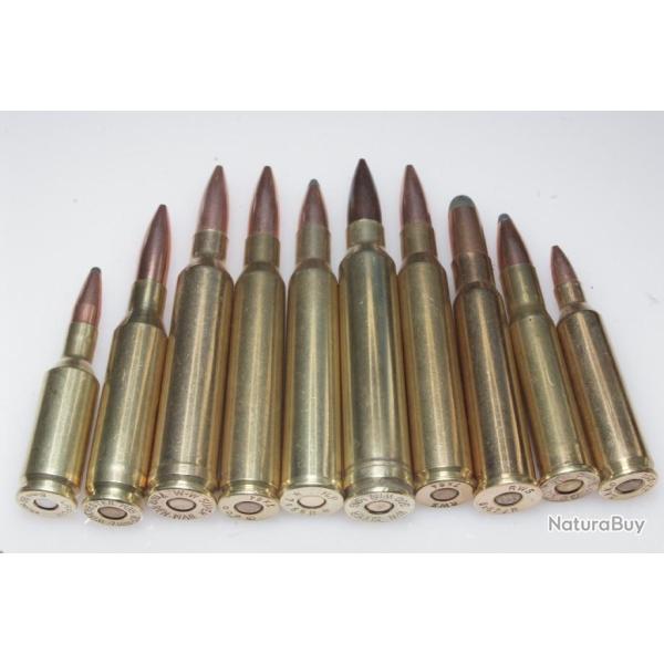 10 cartouches de collection calibres diff�rents