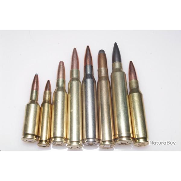 9 cartouches de collection de calibres diffrents