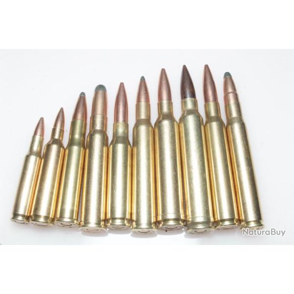10 cartouches de collection de calibres diffrents