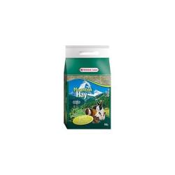 FOIN DE MONTAGNE MENTHE 500GR