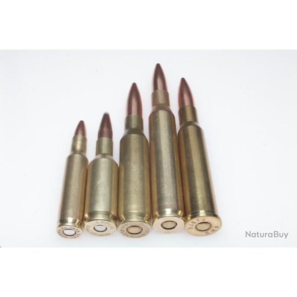 Collection de 5 cartouches de gros calibre