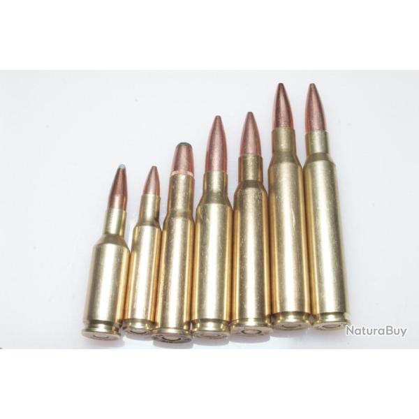 Collection de 7 cartouches  gros calibre port gratuit !