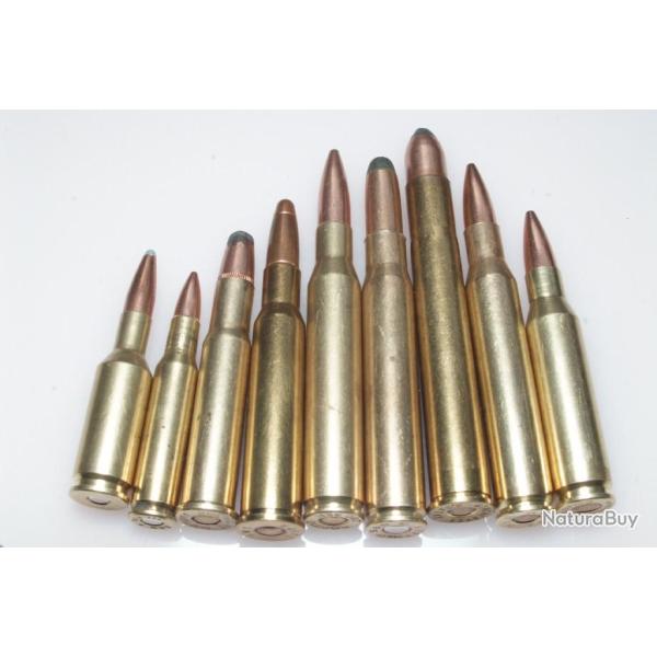 Collection de 9 cartouches  gros calibres port gratuit !