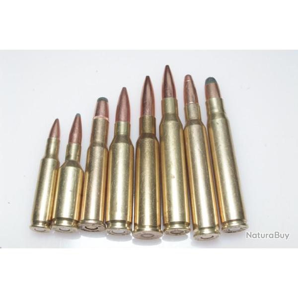 Collection de 8 cartouches  gros calibre port gratuit!