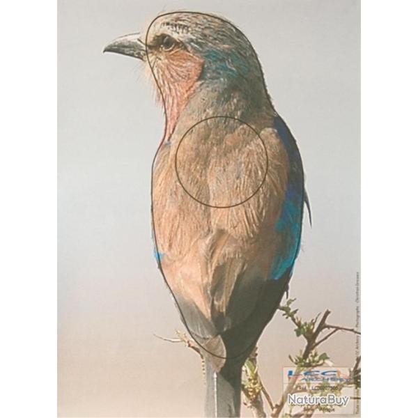 Cible papier rollier