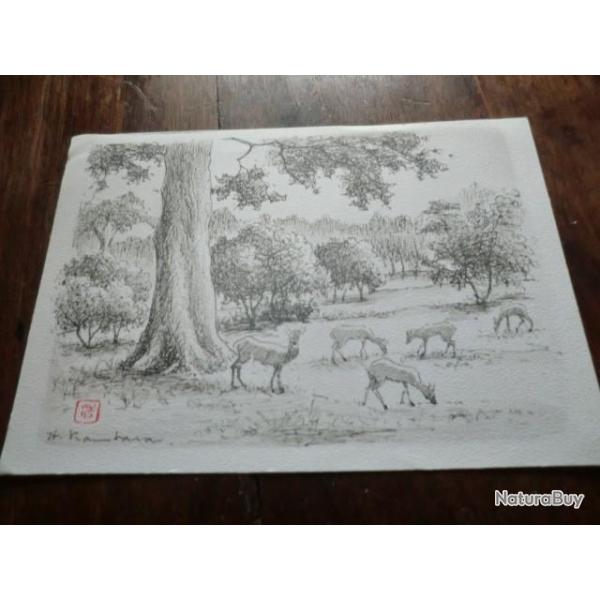 CP    JAPON  NARA PARK