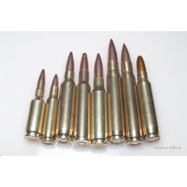 Collection de 8 cartouches de gros calibres diffrents port gratuit