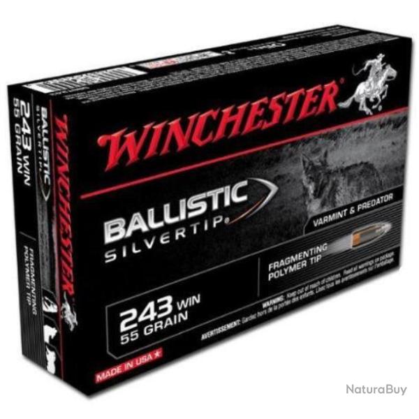 Munitions Winchester Ballistic Silvertip BST 243win 95gr 6.16g par 60