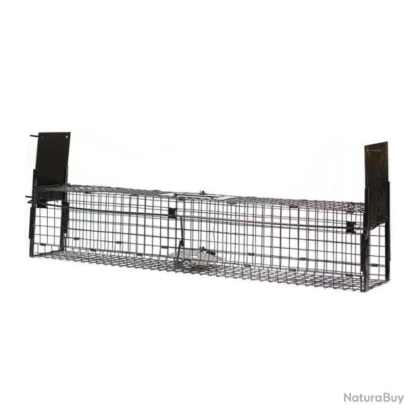 Boite � fauves deux entr�es 105x16x20