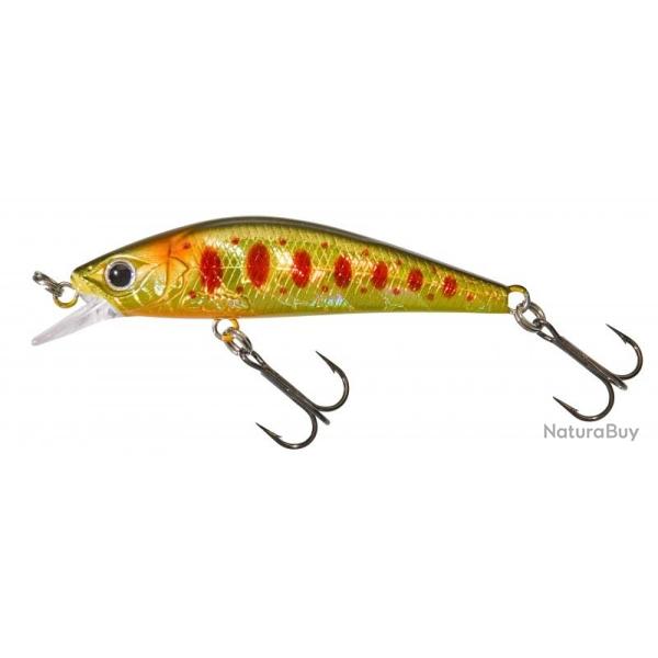 GAMERA 54 SHW Hl brown trout