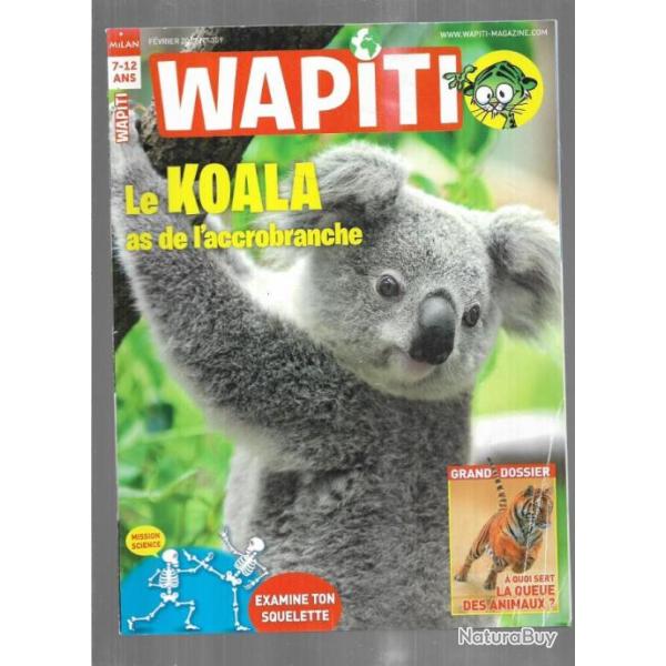wapiti 359 f�vrier 2017, 7-12 ans , koalas , la queue des animaux, ,plongeon imbrun , squelette