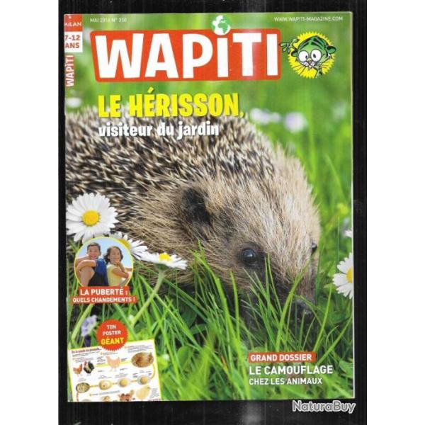 wapiti 350 mai 2016, 7-12 ans , h�risson, maitres du camouflage, pubert�, ratons laveurs , poney