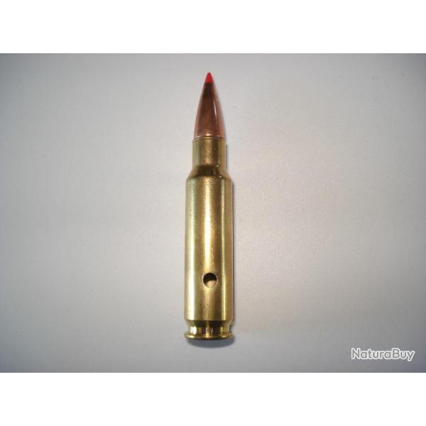 une cartouche de 30 thompson center neutralis�e, �tui perc�, amorce percut�e