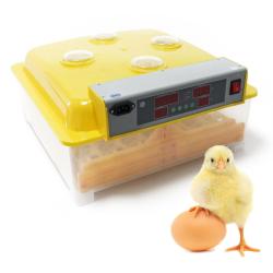 Couveuse automatique 48 oeufs appareil couver incubateur 4 fen&ecirc;tres surveillance 16_0001259