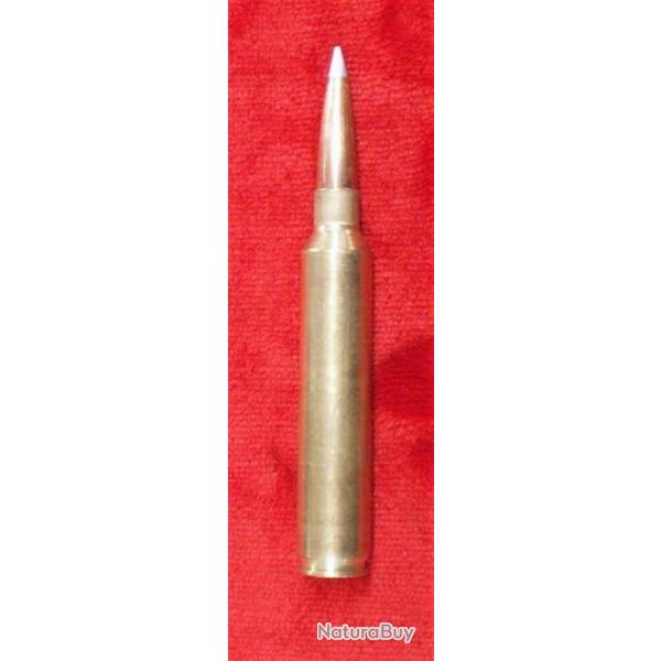 cartouche de collection 300 remington ultra mamagnum avec honady A TIP  230 GRS