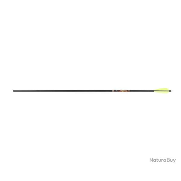 12 Fl�ches XX75 Tribute Easton 1816