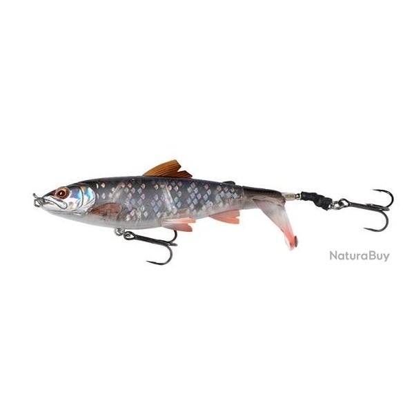 3D SMASH TAIL 10CM 17GR NPC Roach