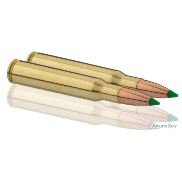 Balles de Chasse Sologne Klassic Calibre 30.06 Nosler BallisticTip