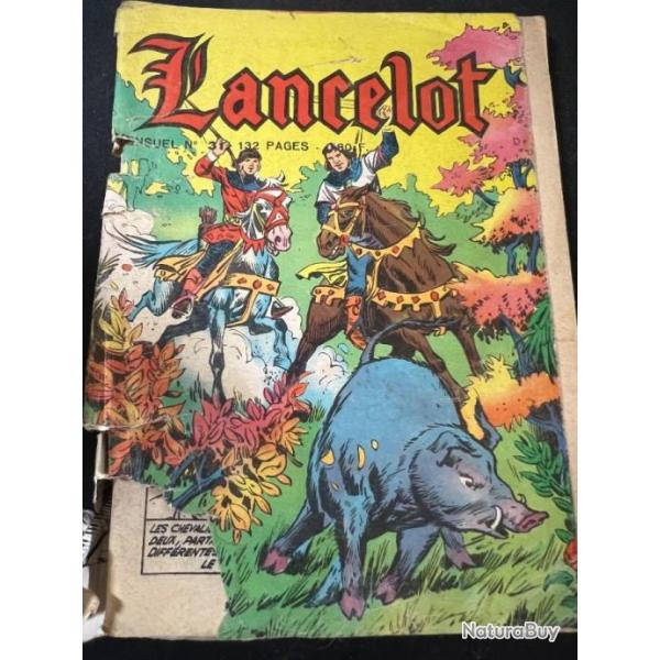 BD Lancelot No 31