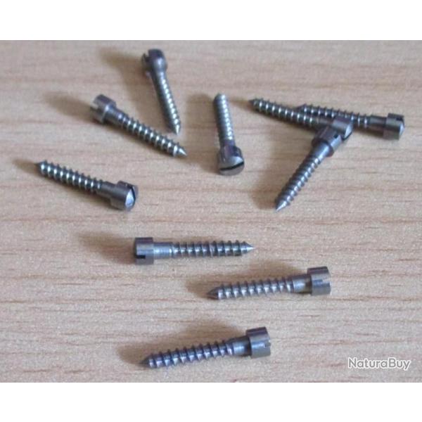 Vis de fixation  pour sret MERKEL ( rf 1)