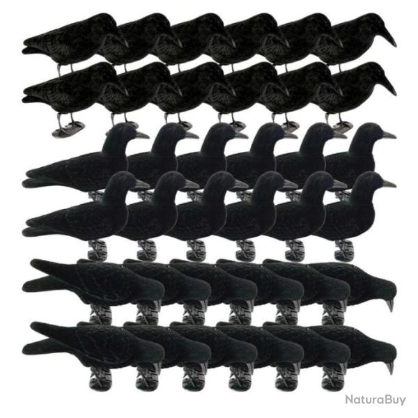 Pack 36 formes de corbeaux floqu�es