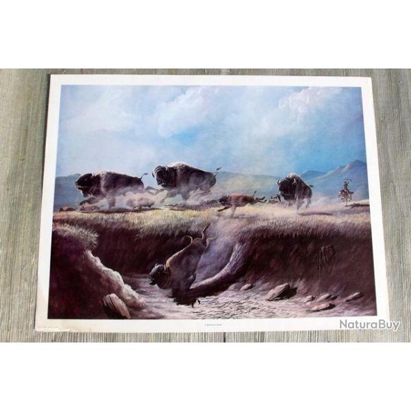 POSTER DU FAR WEST, CHASSE AU BISON.