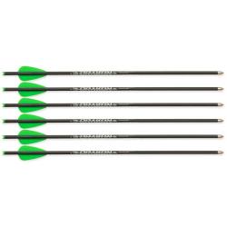 6 Fl&egrave;ches pour Arbal&egrave;te &agrave; poulies Junxing Drakon Vert