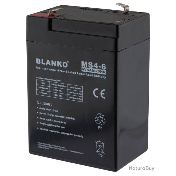 Batterie rechargeable MS4-6 6 volts-MS4-6