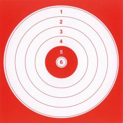 100 cibles cartons 14 x 14 cm