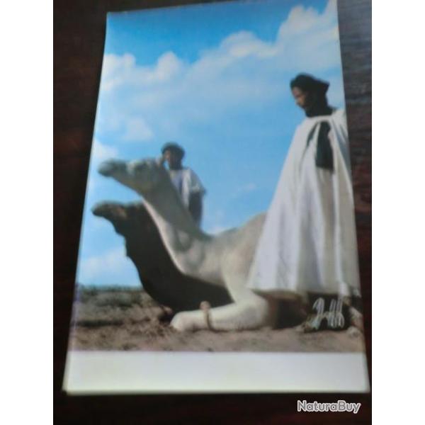 CP PAYS  MAROC  REGARD VERS LE SUD