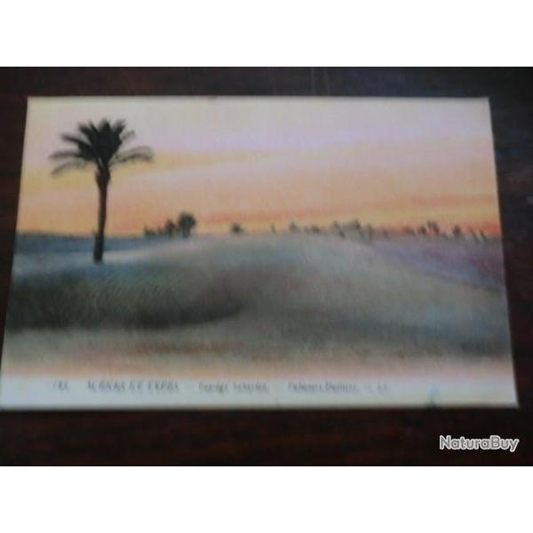 CP PAYS  MAROC  SCENE ET TYPES  PAYSAGE SAHARIEN