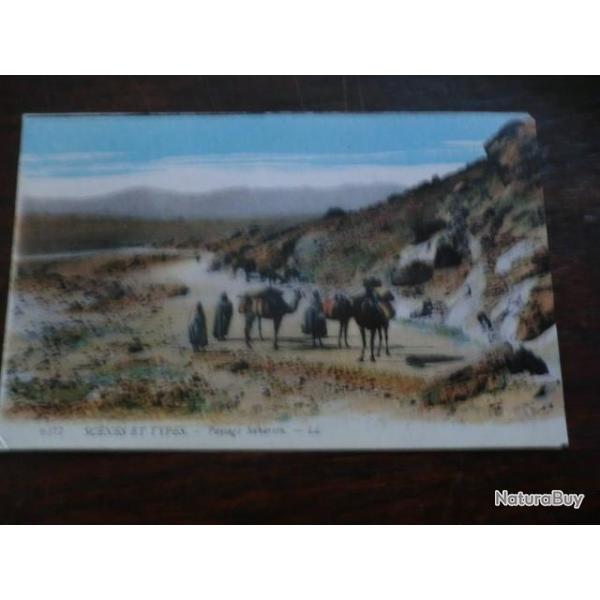 CP PAYS  MAROC  SCENE ET TYPES  PAYSAGE SAHARIEN I