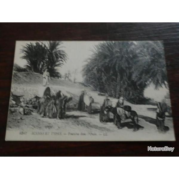 CP PAYS  MAROC  SCENE ET TYPES  FONTAINE DANS L OASIS