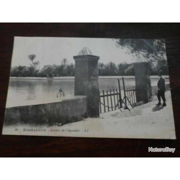 CP PAYS  MAROC  MARRAKECH  JARDIN DE L AGUEDAL